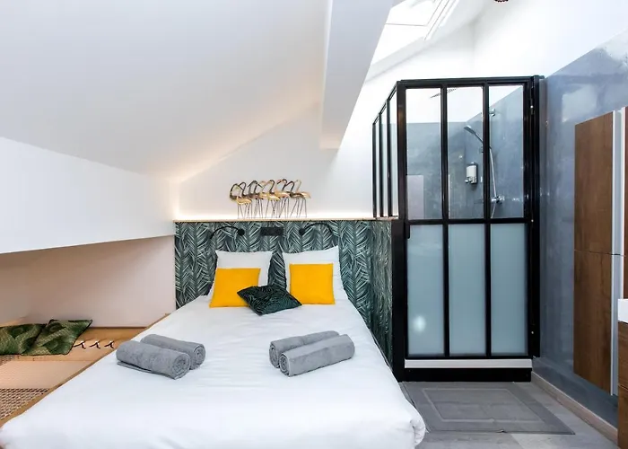 Duplex : 300m, Clim, Netflix Appartement Cannes