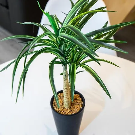 Διαμέρισμα Duplex : 300m, Clim, Netflix Κάννες