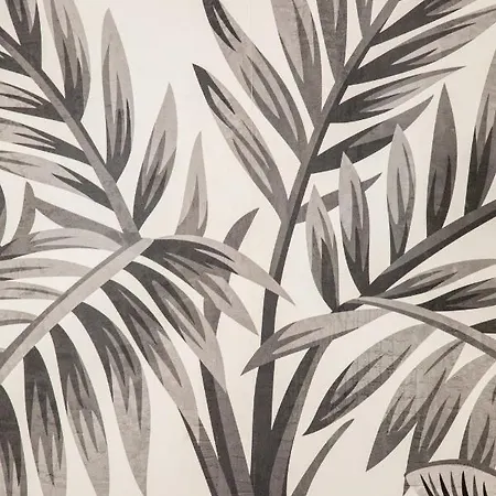 Duplex : 300m, Clim, Netflix شقة كان